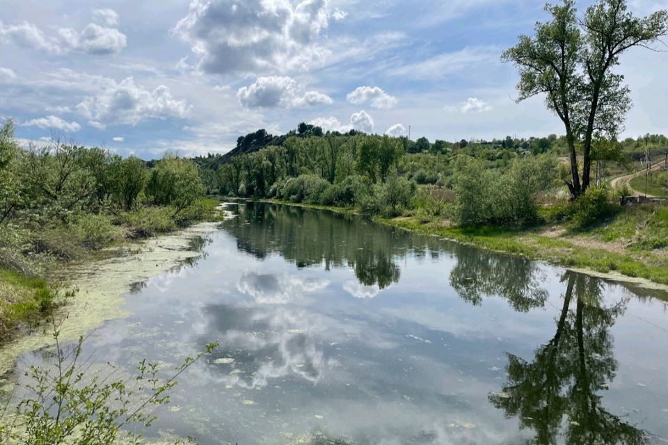 земля городской округ Абакан, СОСН Подсинее-Черёмушки, улица Островок, 43 фото 5