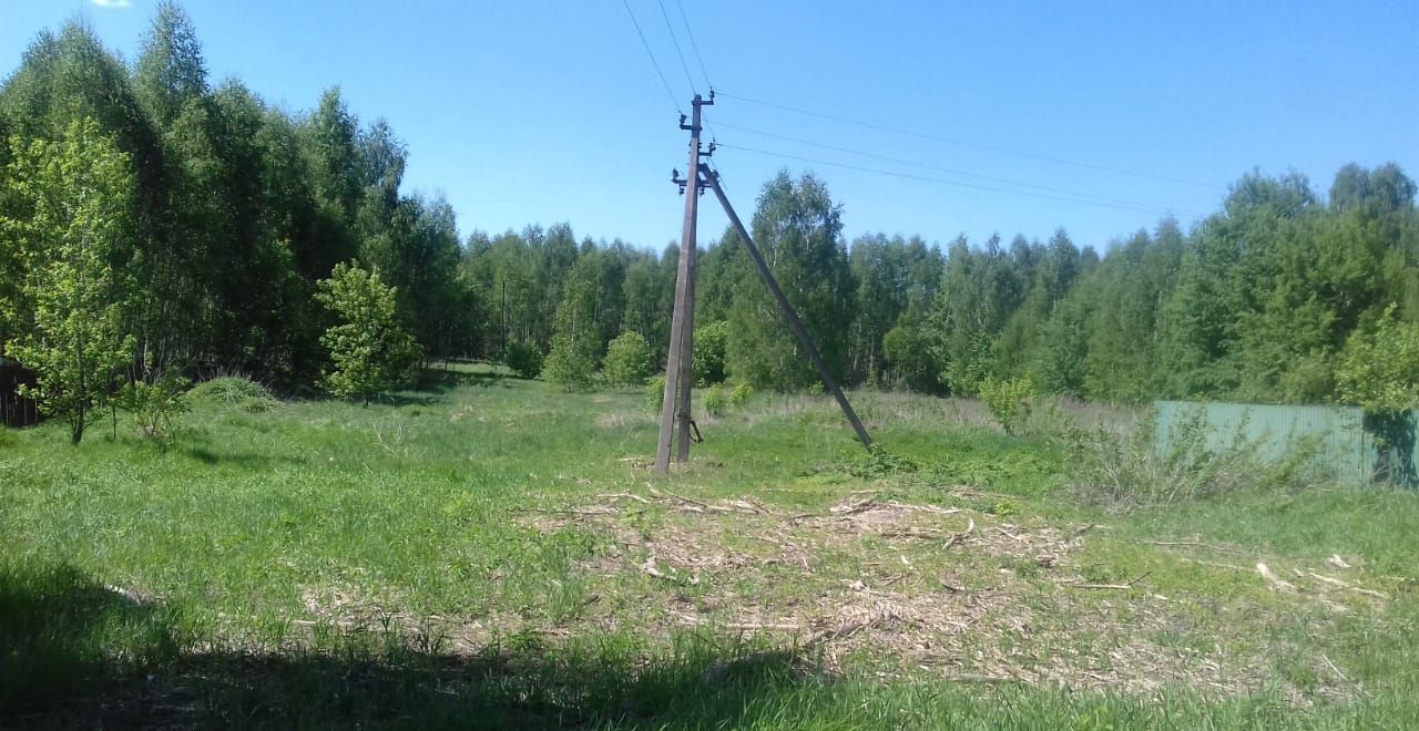 земля р-н Спасский д Добрянка Лакашинское сельское поселение, Ижевское фото 5