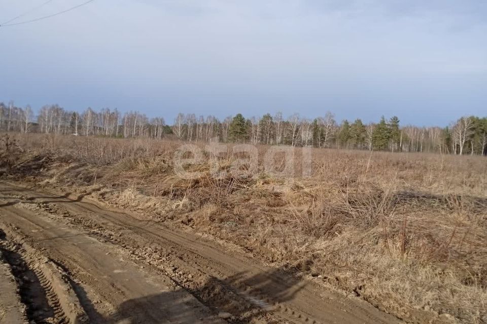 земля городской округ Староуткинск, посёлок городского типа Староуткинск фото 5