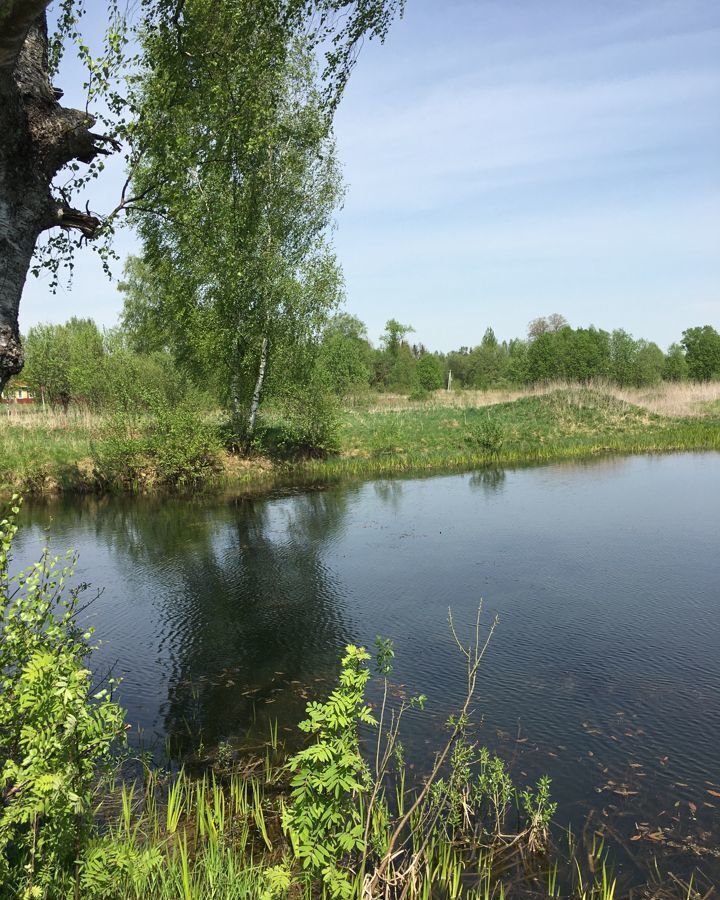 земля р-н Зубцовский д Старое Зубцов фото 3