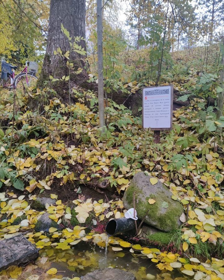 дом р-н Гатчинский д Заозерье Дружногорское городское поселение, Дружная Горка фото 31