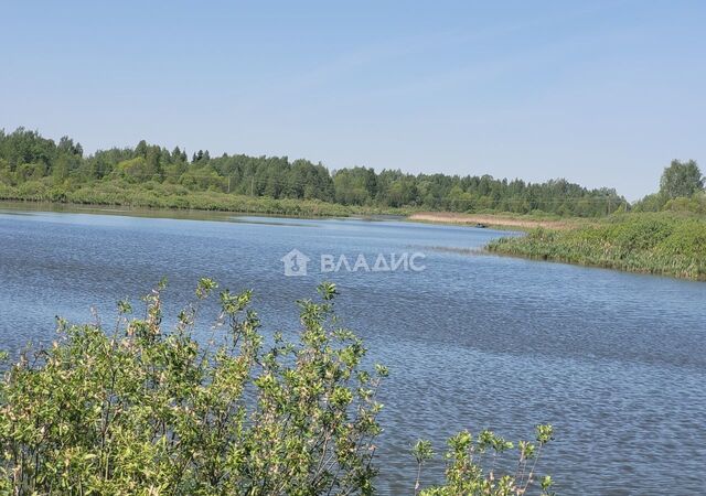 с Петровское Тверь фото