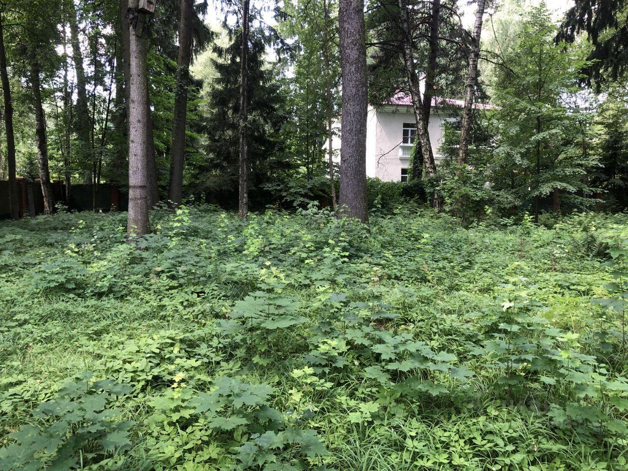 дом городской округ Одинцовский улица, Одинцово, Верхняя Набережная фото 36