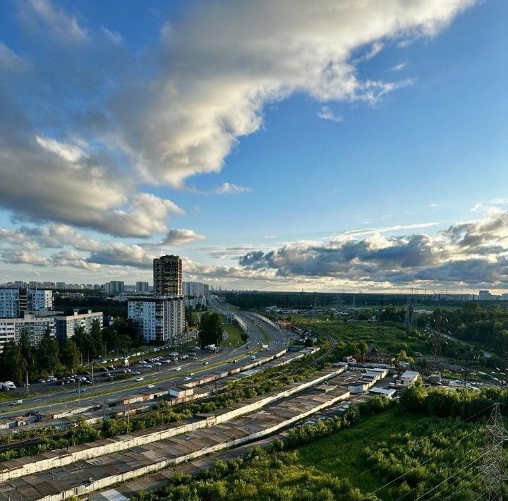 квартира г Санкт-Петербург п Парголово ул Брюлловская 3 метро Парнас фото 23