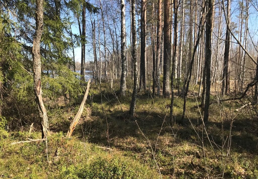 земля р-н Лахденпохский п Сикопохья ул Дачная Мийнальское сельское поселение, Лахденпохья фото 15