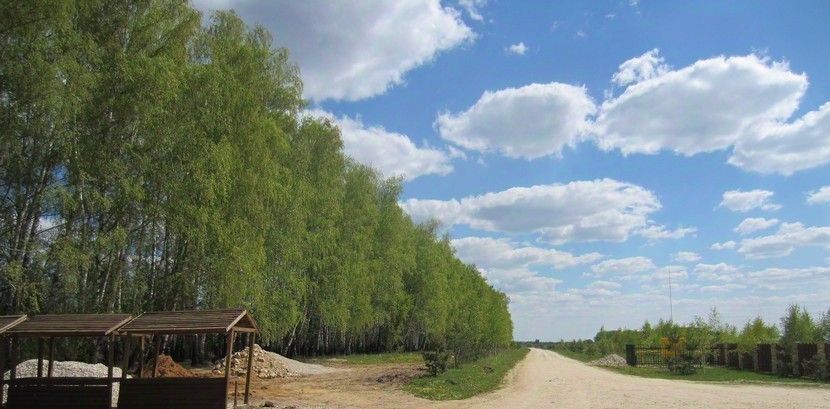 земля р-н Ясногорский с Кузьмищево днп тер.Алино Иваньковское муниципальное образование фото 2