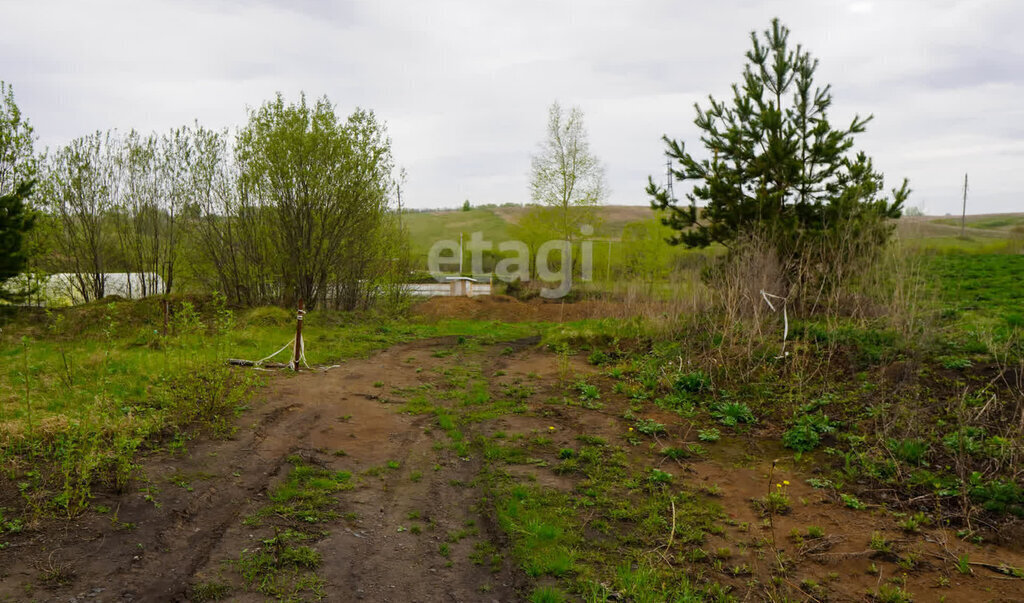 земля г Новокузнецк р-н Новоильинский пр-кт Мира фото 6