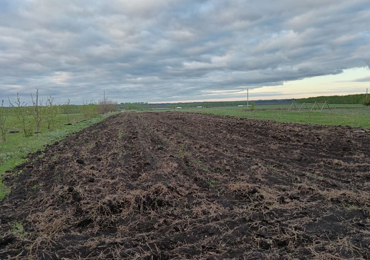 земля р-н Елецкий д Екатериновка ул Полевая Большеизвальский сельсовет, Елец фото 1