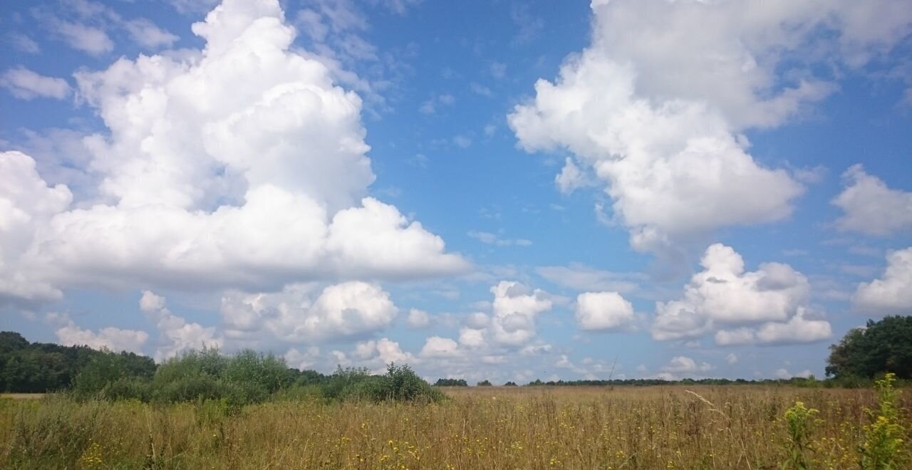 земля р-н Гурьевский п Заозерье Калининград фото 6