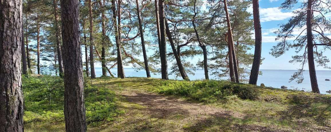 земля р-н Выборгский п Пески Полянское сельское поселение, Песочное фото 1