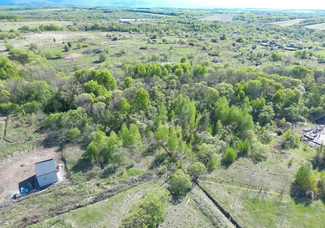 земля р-н Хабаровский с Краснореченское ул Центральная Хабаровск фото 5