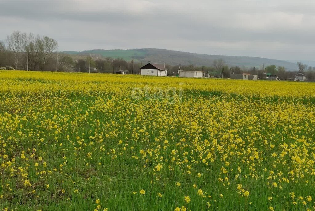 земля р-н Анапский г Анапа хутор Тарусин, Речная улица фото 8