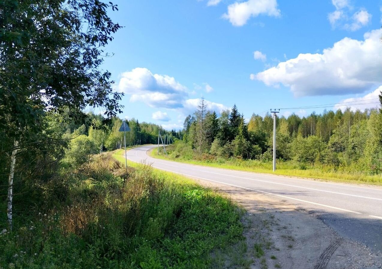 земля городской округ Клин г Высоковск дп. Клинские Сады, г. о. Клин фото 3