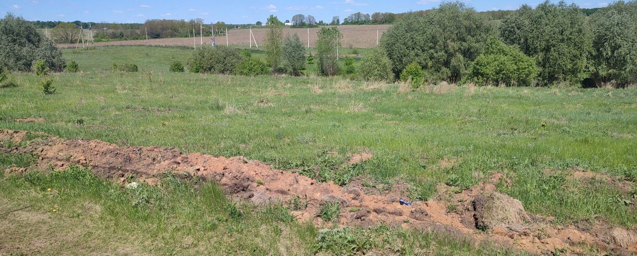 земля р-н Семилукский с Девица ул Приозерная Девицкое сельское поселение, КП Поречье, Воронеж фото 7