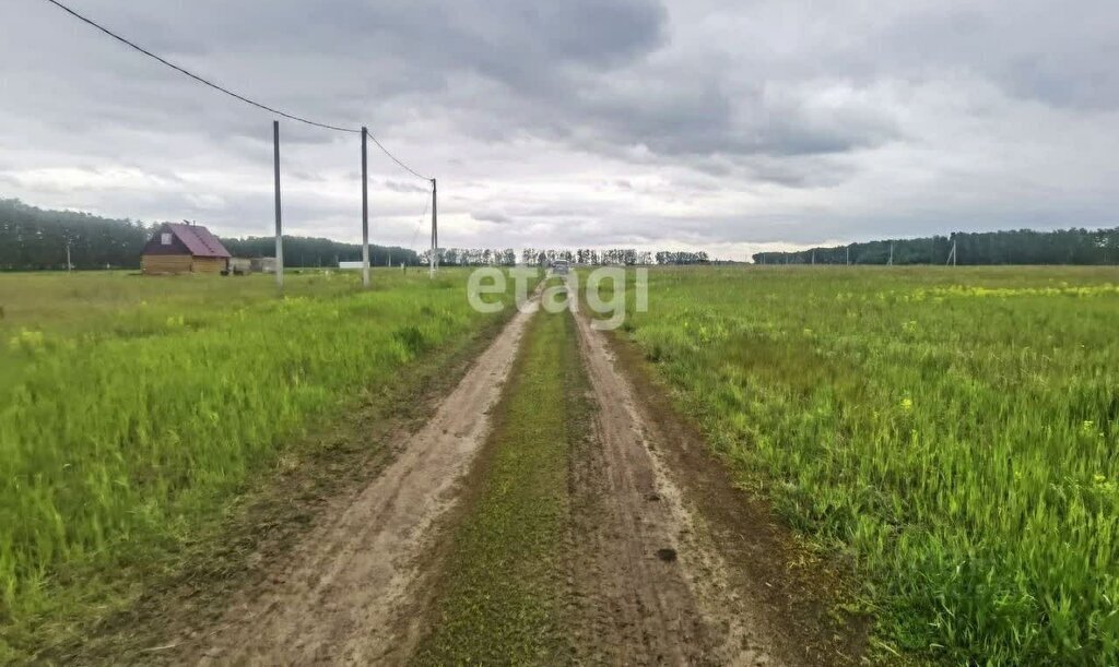 земля р-н Омский с Усть-Заостровка ул Березовая фото 1