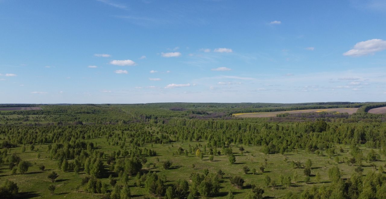 земля р-н Заокский д Сухотино Новогуровский фото 3