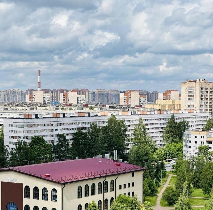 квартира г Санкт-Петербург метро Проспект Просвещения пр-кт Просвещения 43 ЖК «Лондон Парк» округ № 15 фото 22