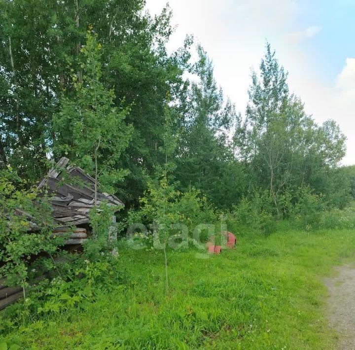 земля р-н Даниловский г Данилов городское поселение Данилов фото 6