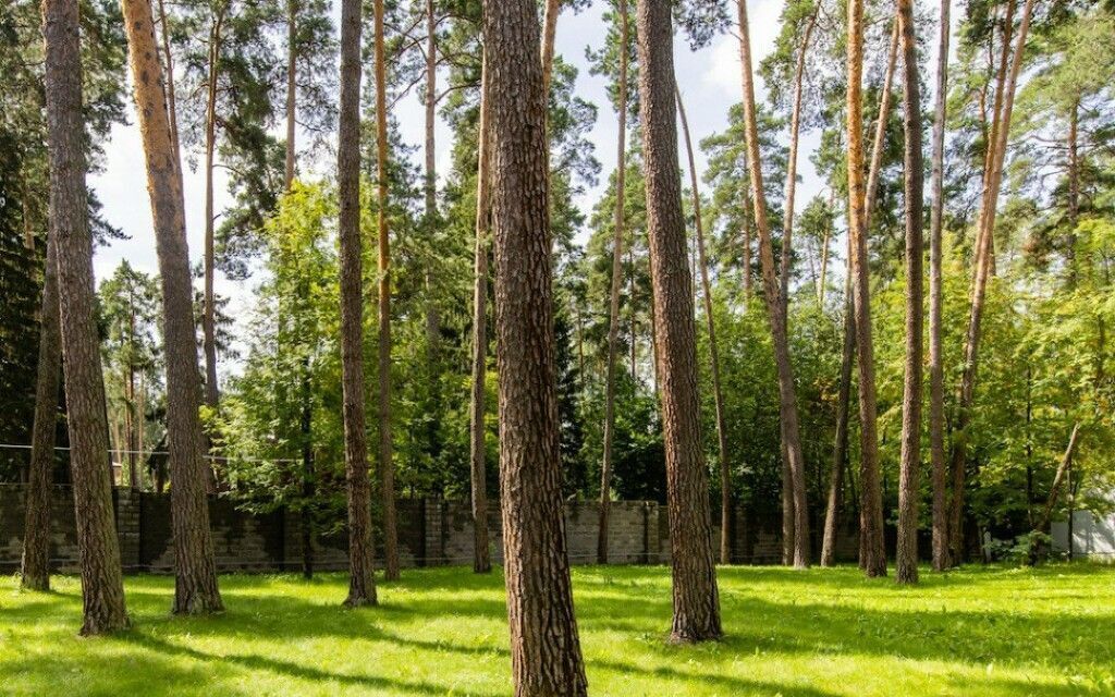 дом городской округ Одинцовский территориальное управление Горское, Красногорск фото 20