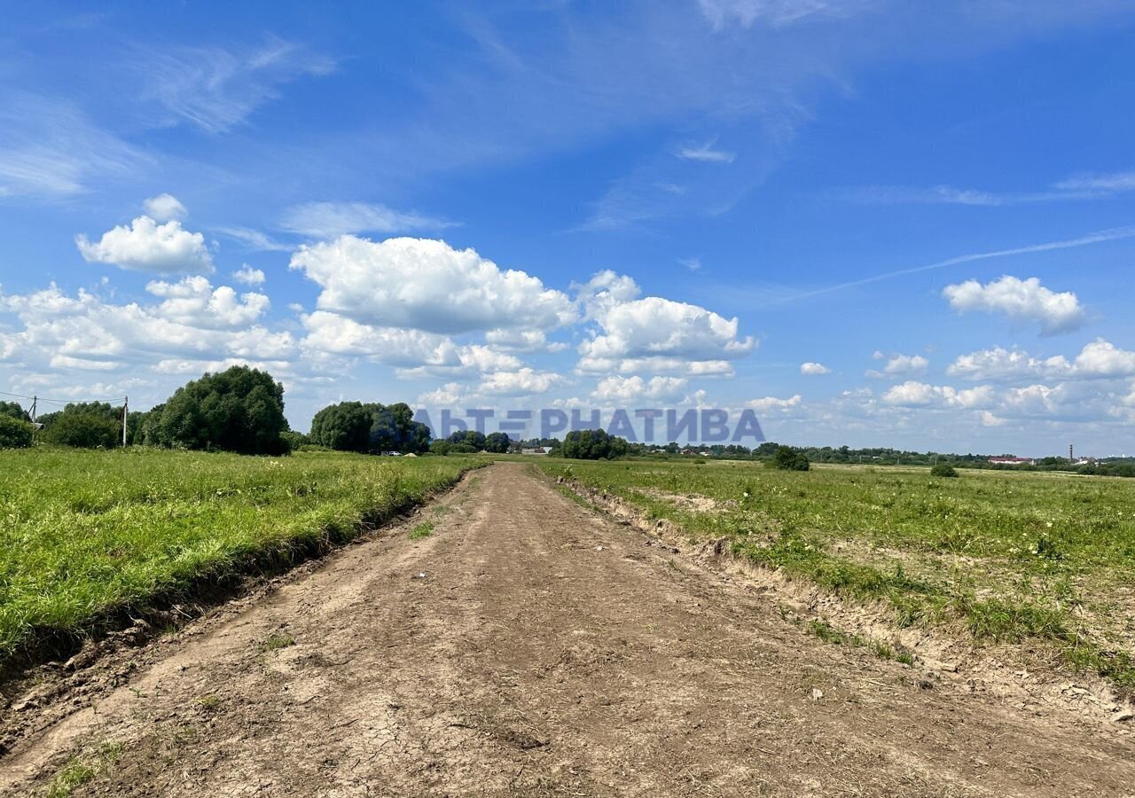 земля р-н Некоузский д Луговая Слобода, Переславль-Залесский фото 31