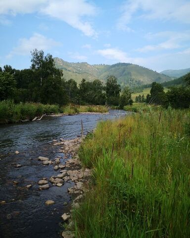 с Шебалино Онгудай фото