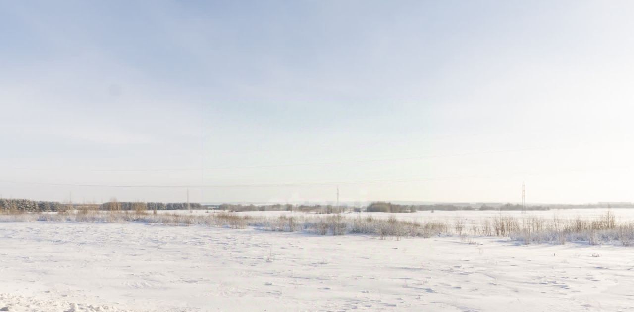 земля р-н Елабужский г Елабуга городское поселение Елабуга фото 9