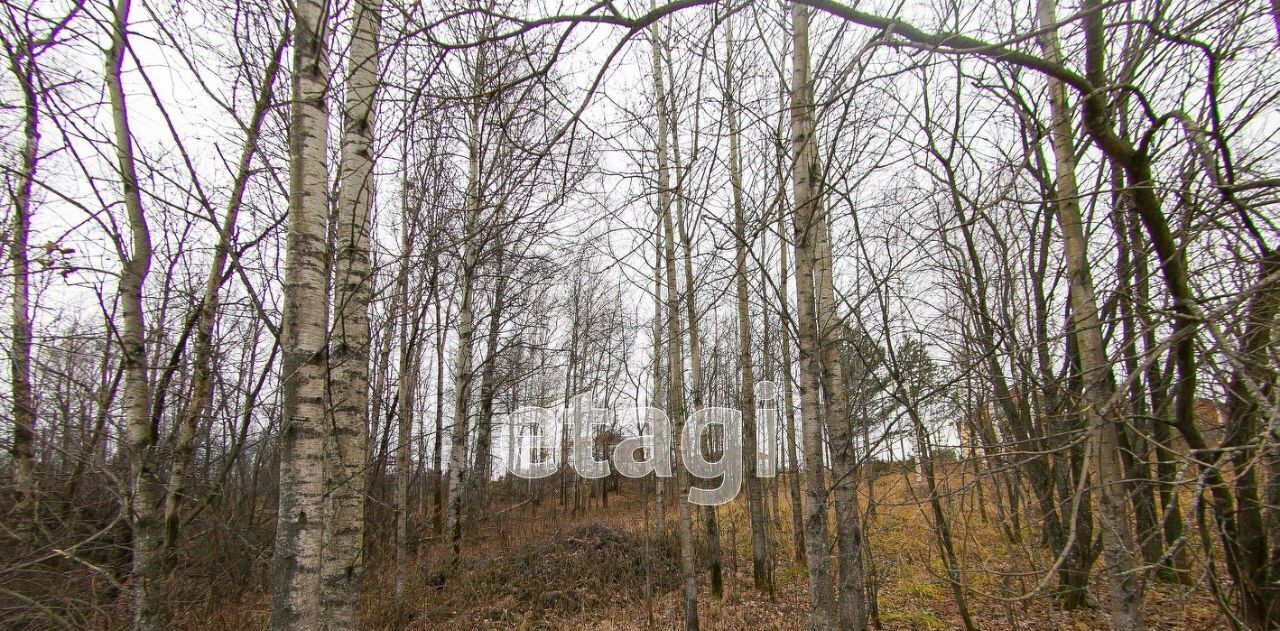 земля р-н Томский с Корнилово пер Боярский фото 4