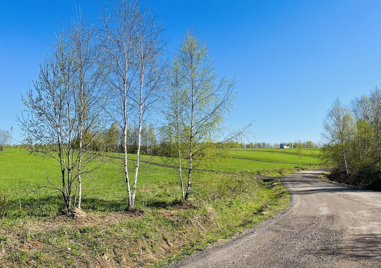 земля городской округ Сергиево-Посадский х Шубино снт Природа 92, Краснозаводск фото 3