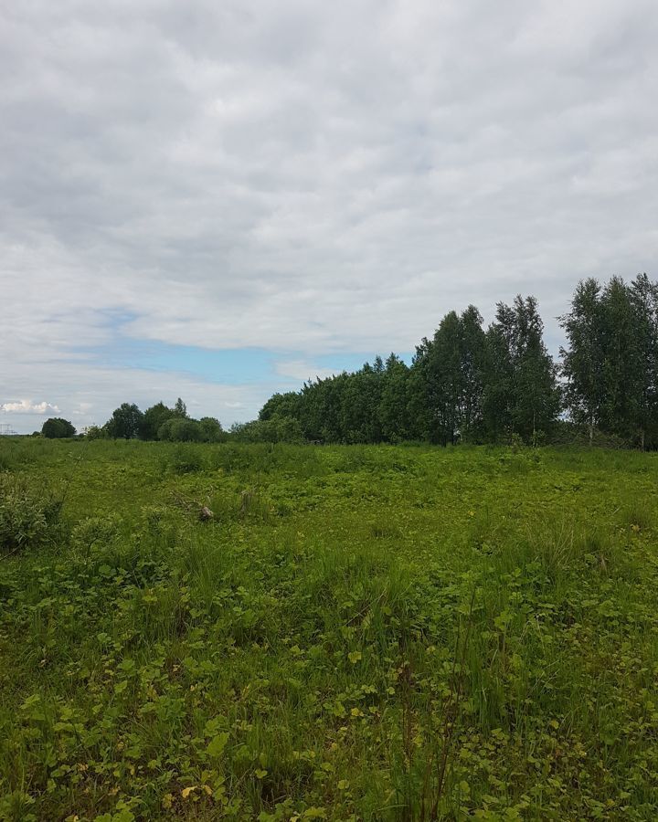 земля городской округ Сергиево-Посадский д Федорцово Богородское фото 1