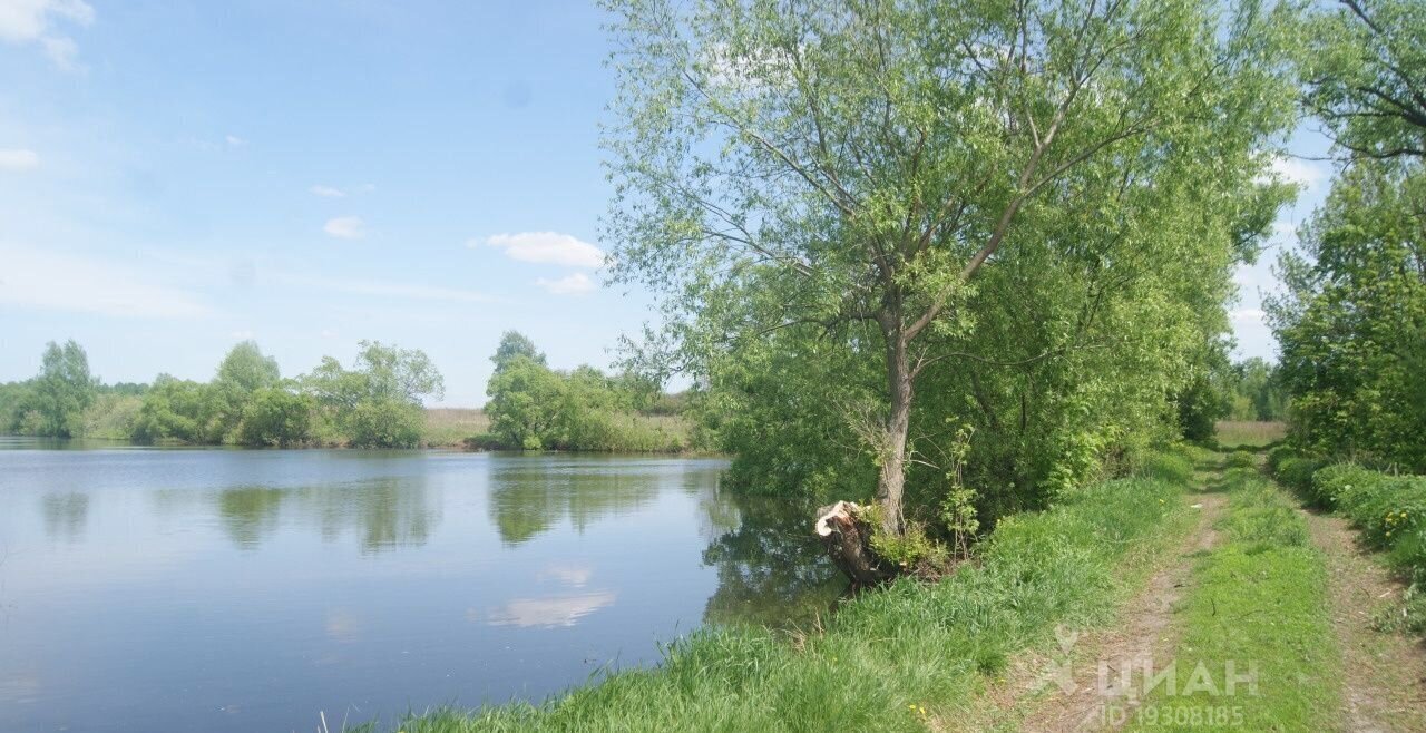 земля р-н Краснинский с Нижнедрезгалово Красное фото 1