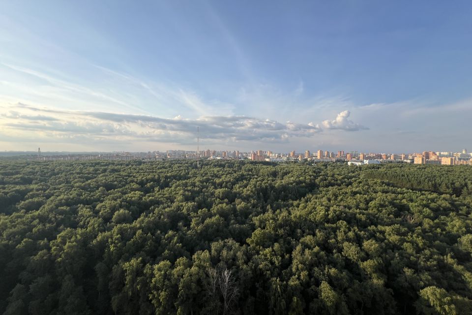 квартира городской округ Красногорск д Путилково ул Сходненская 5 фото 1