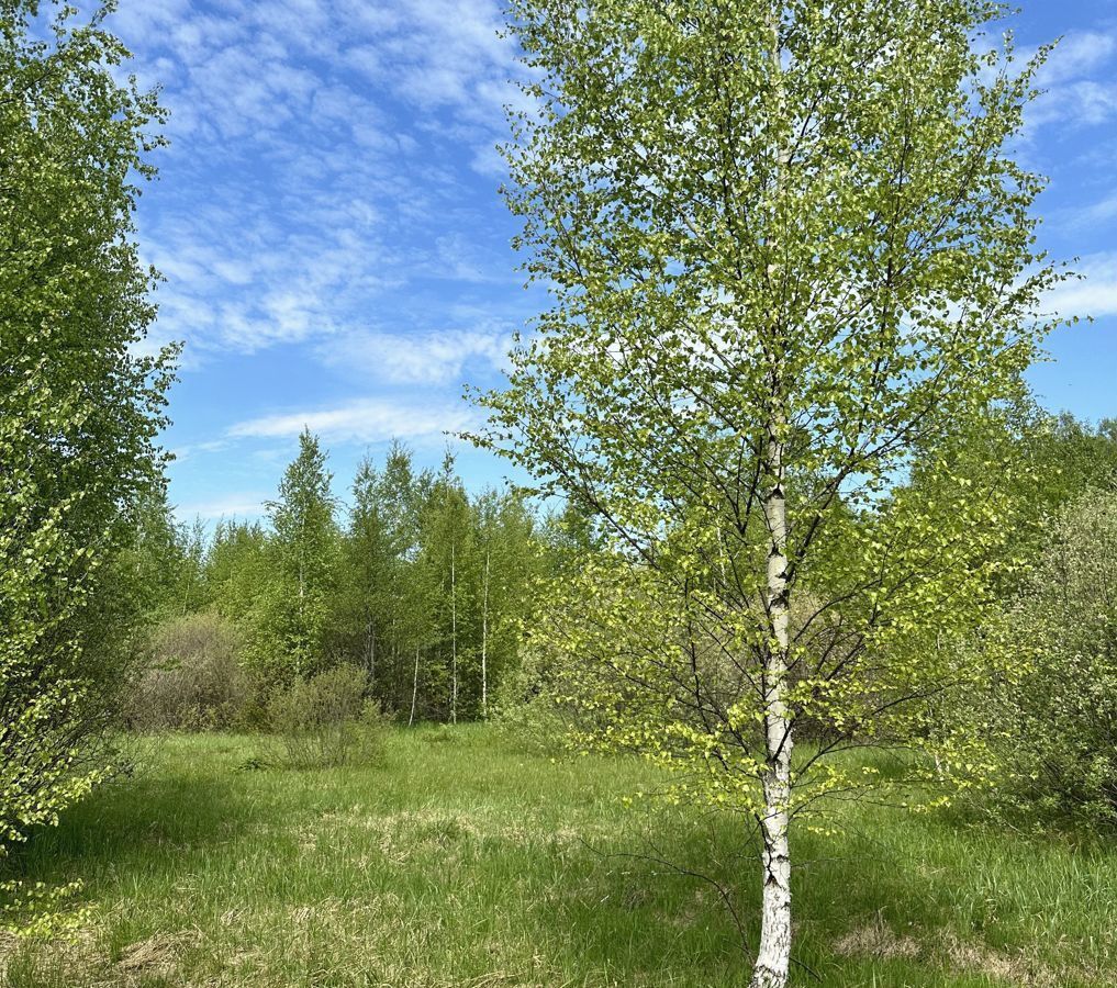 земля г Электросталь ул Юбилейная 3 40 км, Горьковское шоссе фото 21