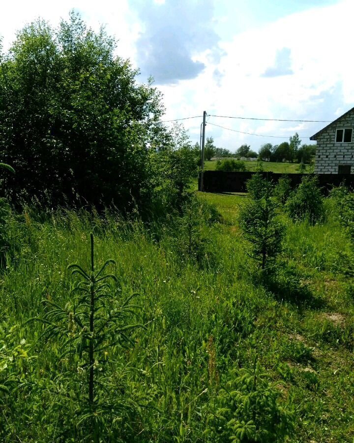 земля р-н Смоленский д Гринево Смоленск фото 13