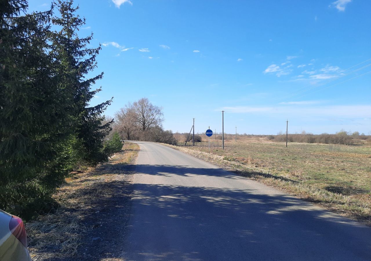 земля р-н Новгородский д Сельцо Борковское сельское поселение, Панковка фото 9