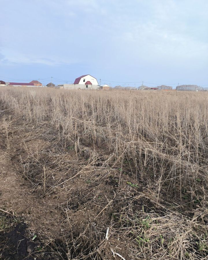 земля р-н Омский с Ребровка Магистральное сельское поселение, Омск фото 2