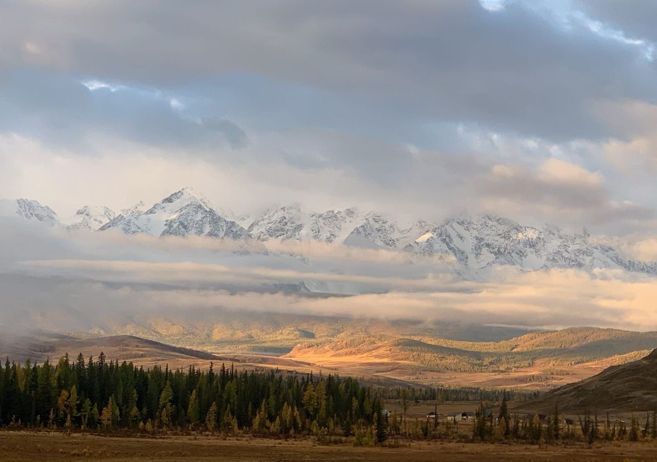 земля р-н Кош-Агачский с Кызыл-Таш Усть-Улаган фото 10