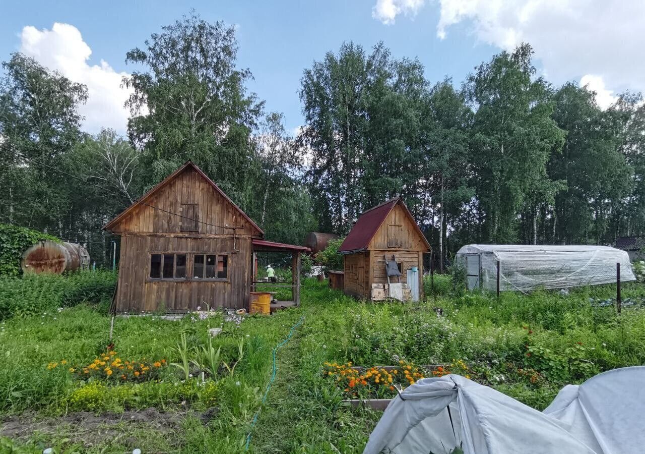 дом р-н Новосибирский Барышевский сельсовет, садовое некоммерческое товарищество Экспериментатор-1, Груздевая ул., 471, Новосибирск фото 7