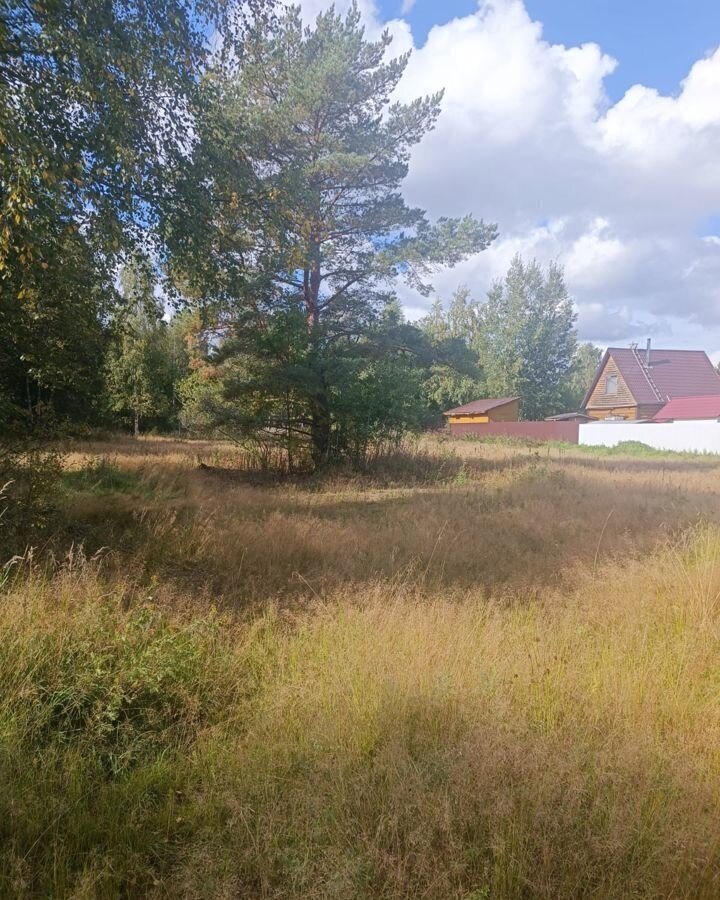 земля р-н Всеволожский п Ладожское Озеро Рахьинское городское поселение фото 4