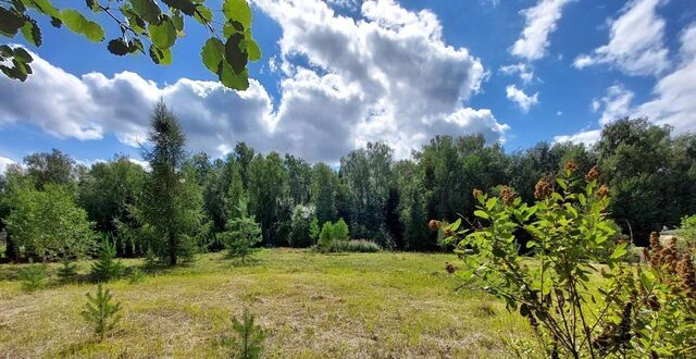 д Чесноково коттеджный пос. Ренессанс парк, Красногорск фото