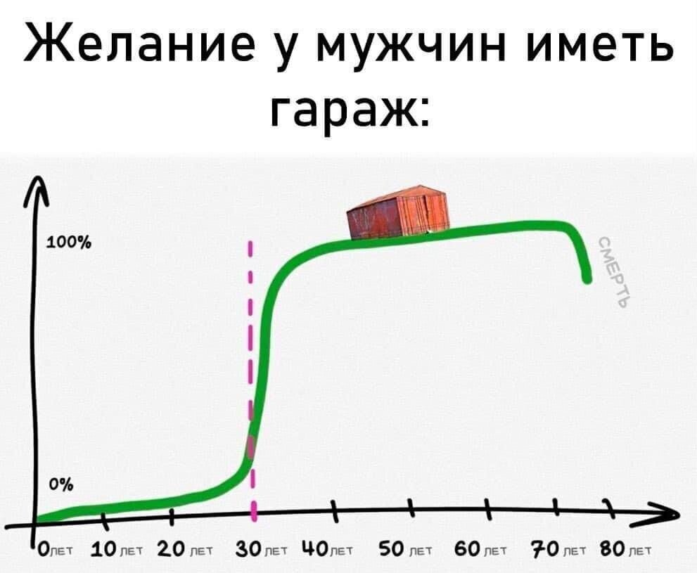 гараж г Москва метро Юго-Восточная пр-кт Рязанский 105а муниципальный округ Выхино-Жулебино фото 7