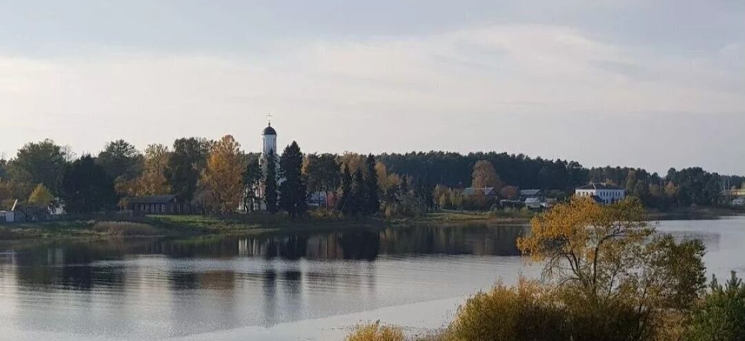 дом р-н Волховский д Рязановщина Пашское сельское поселение, 5, Сясьстрой фото 30