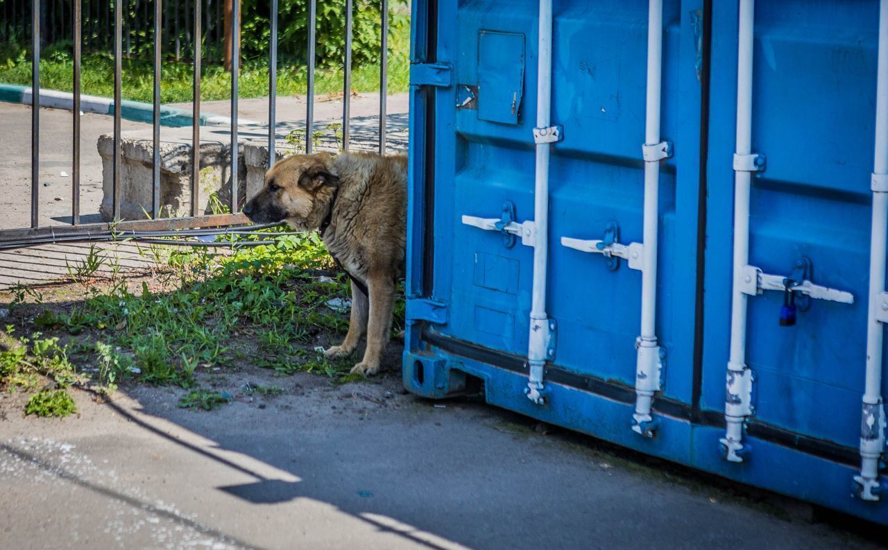 производственные, складские г Москва метро Котельники ул Железнодорожная 6 Московская область, Котельники фото 18