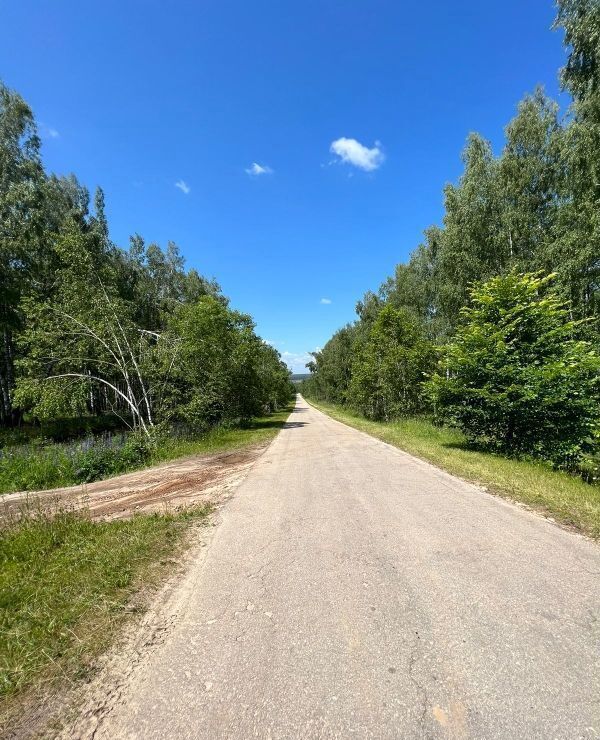 земля р-н Богородский сельский пос. Майоровка, Суроватиха фото 11