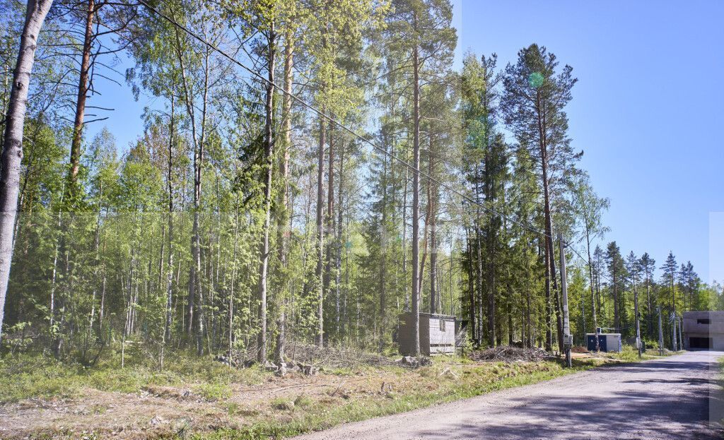 земля р-н Всеволожский Сертоловское городское поселение, коттеджный пос. Дворянская усадьба, 1-я линия, Санкт-Петербург фото 4