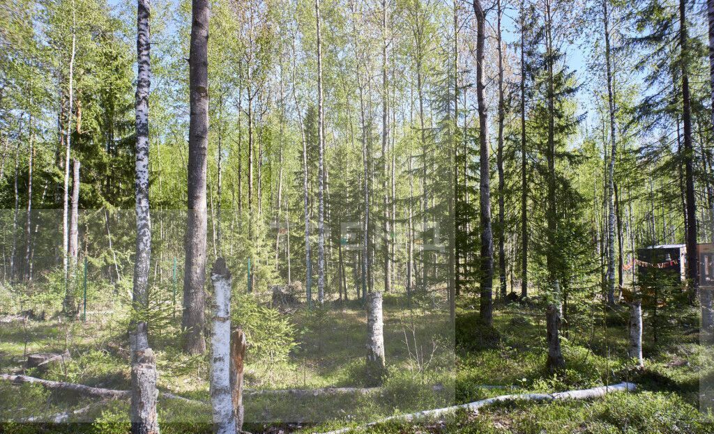 земля р-н Всеволожский Сертоловское городское поселение, коттеджный пос. Дворянская усадьба, 1-я линия, Санкт-Петербург фото 8