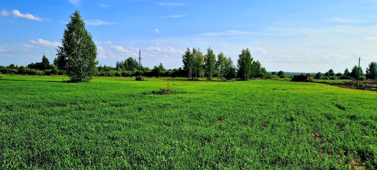 земля г Кострома р-н Заволжский ш Волгореченское фото 3