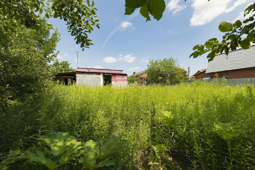 земля городской округ Ленинский д Жабкино фото 6