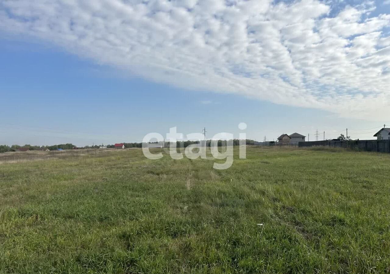 земля р-н Березовский п Березовка городское поселение Берёзовка фото 7