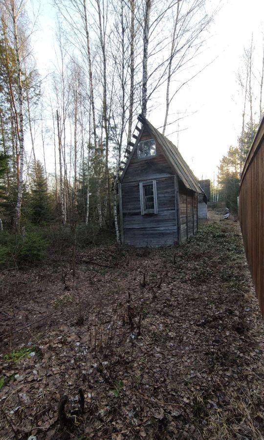 земля городской округ Наро-Фоминский г Верея садовое товарищество Березняк фото 1