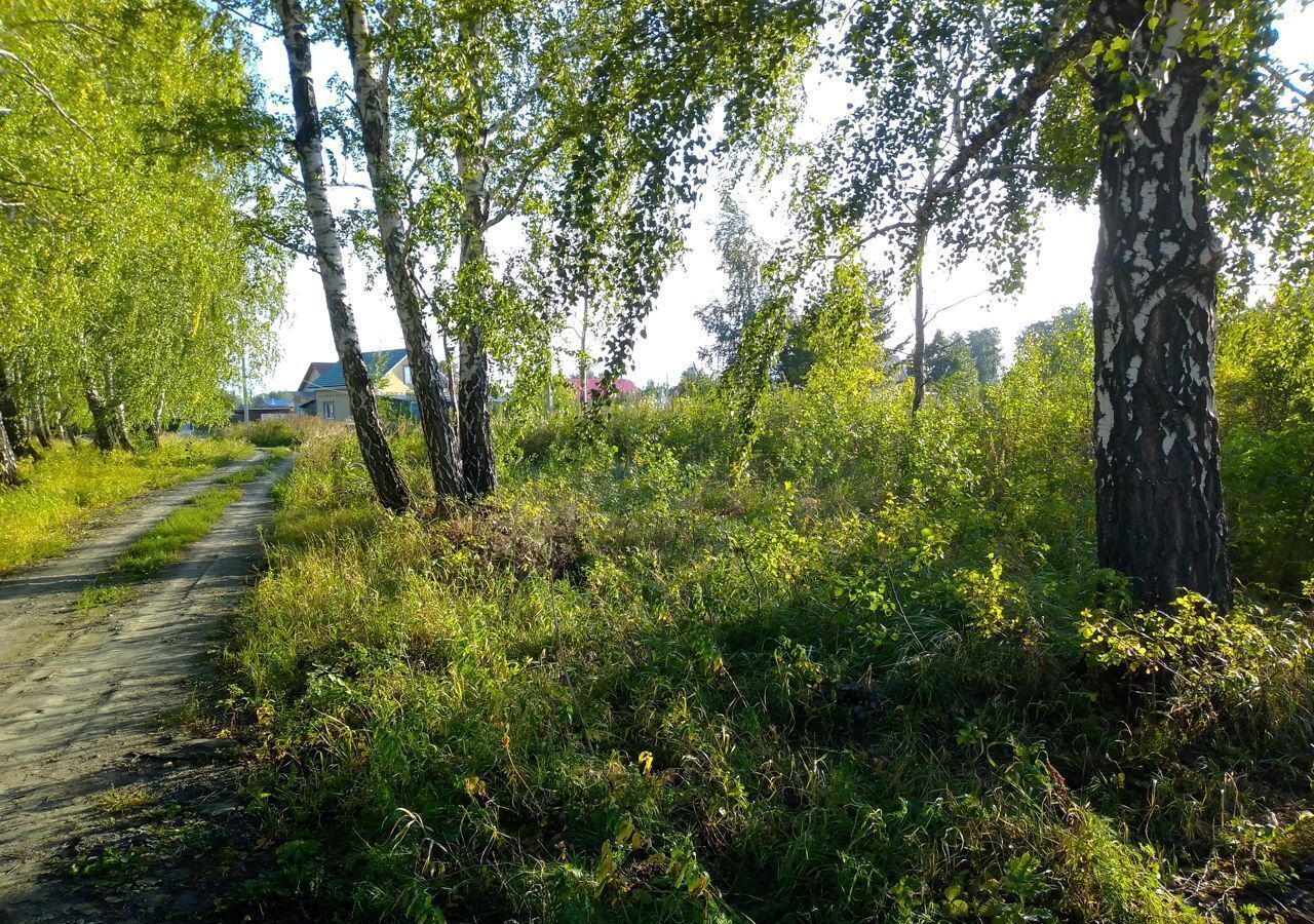 земля р-н Омский с Морозовка ул 60 лет Победы Омск фото 2